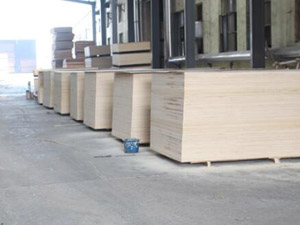 ��ɭ���b��ذ�܇(ch��)�g