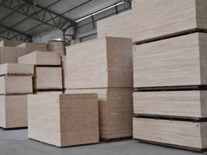 ��ɭ���b��ذ�܇(ch��)�g