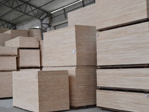 ��ɭ���b��ذ�܇(ch��)�g