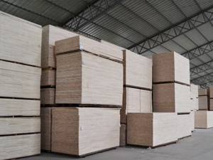 ��ɭ���b��ذ�܇(ch��)�g